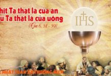 Chúa nhật XX thường niên, năm B: Các bài suy niệm & chú giải Lời Chúa