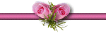 Rose(1)