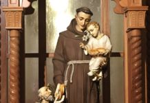 Thánh Antôn Pađua, một đời sống bỏng cháy cho Tin Mừng