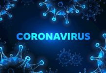 Có một thứ đang làm xáo trộn hành tinh