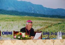 Đức Giám mục Anphong Nguyễn Hữu Long: “Nhờ có nhiều ơn gọi, Giáo Hội Việt Nam có thể vượt qua các thử thách”