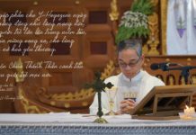 Phiên bản mới của Bản tin Giới trẻ Online