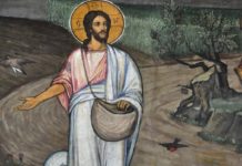 Chúa nhật XV thường niên, năm A: Các bài suy niệm & chú giải Lời Chúa