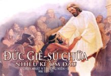 Chúa nhật V thường niên, năm B: Các bài suy niệm & chú giải Lời Chúa