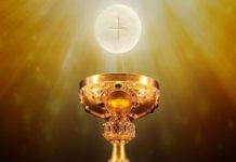 Chúa nhật Lễ Mình Máu Thánh Chúa Kitô, năm B: Các bài suy niệm và chú giải Lời Chúa