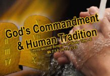 Chúa nhật XXII thường niên, năm B: Các bài suy niệm & chú giải Lời Chúa