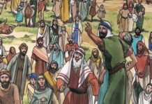 Chúa nhật XI thường niên, năm A: Các bài suy niệm & chia sẻ Lời Chúa