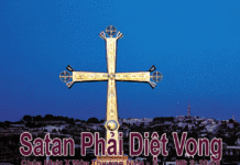 Chúa nhật X thường niên, năm B: Các bài suy niệm & chú giải Lời Chúa