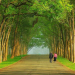 Sống chậm và sống chất