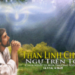 Chúa nhật III thường niên, năm C: Các bài suy niệm & chú giải Lời Chúa