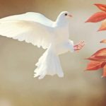 Chương trình “Một phút vì hoà bình 2019”