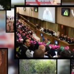 Nhìn lại Thượng Hội đồng Giám mục về miền Amazon