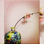 Năm mới, đồ cũ: Thế hệ trẻ Laudato Sì