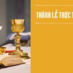 Giờ lễ trực tuyến tại Nhà thờ Chính tòa Xã Đoài – Giáo phận Vinh