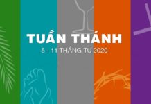 Giáo phận Vinh: Hướng dẫn cử hành Phụng vụ Tuần Thánh trong thời gian tạm ngưng Thánh lễ cộng đồng phòng tránh dịch bệnh Covid-19