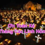 Toà Ân giải Tối cao: Sắc lệnh về việc lãnh nhận ơn Toàn xá trong tháng 11/2020