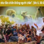 Chúa nhật XVI thường niên, năm B: Các bài suy niệm & chú giải Lời Chúa