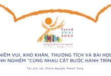 Niềm vui, khó khăn, thương tích và bài học kinh nghiệm “Cùng nhau cất bước hành trình”