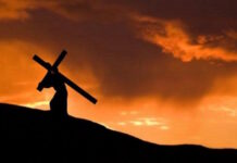 Ngắm 14 chặng đàng Thánh giá 2023: Dấu chân Hiệp hành trên đường thương khó