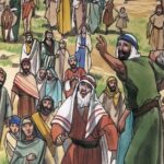 Chúa nhật XI thường niên, năm A: Các bài suy niệm & chia sẻ Lời Chúa