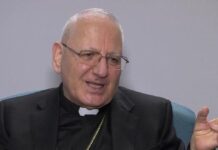 Đức Hồng y Sako: Có nhiều Kitô hữu xuất cư khỏi Irak