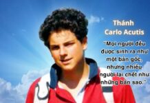 AI, bản gốc hay bản sao? Một lời cảnh tỉnh từ Thánh Carlo Acutis