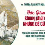 Kiên nhẫn và nhân từ – Con đường của Ơn Cứu Độ