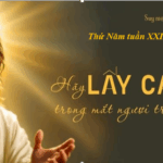 Hãy lấy cái xà trong mắt ngươi trước đã!