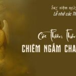 Coi khinh người khác là xúc phạm chính Chúa