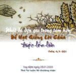 Nhặt đá dọn gai trong tâm hồn để hạt giống Lời Chúa được lớn lên