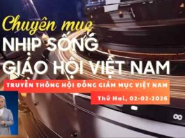 Đại hội lần 1 Ủy Ban Phát Triển Con Người Toàn Diện – Khai mạc Năm Thánh Phan Sinh – Nhịp sống Giáo hội Việt Nam số 59
